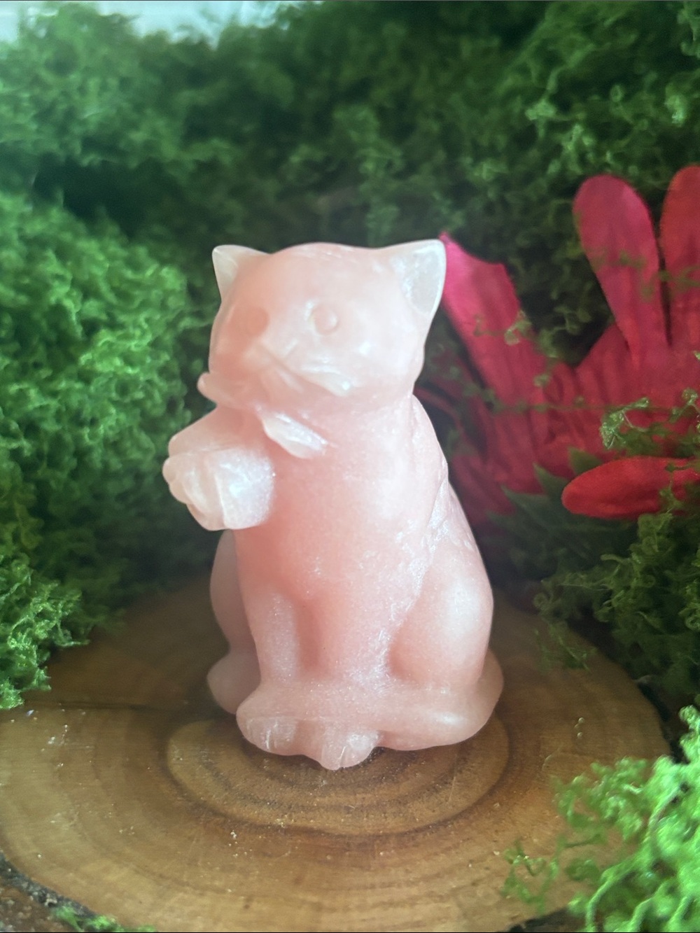 Pink Opal cat with Rose